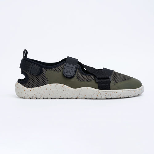 Kava Olive