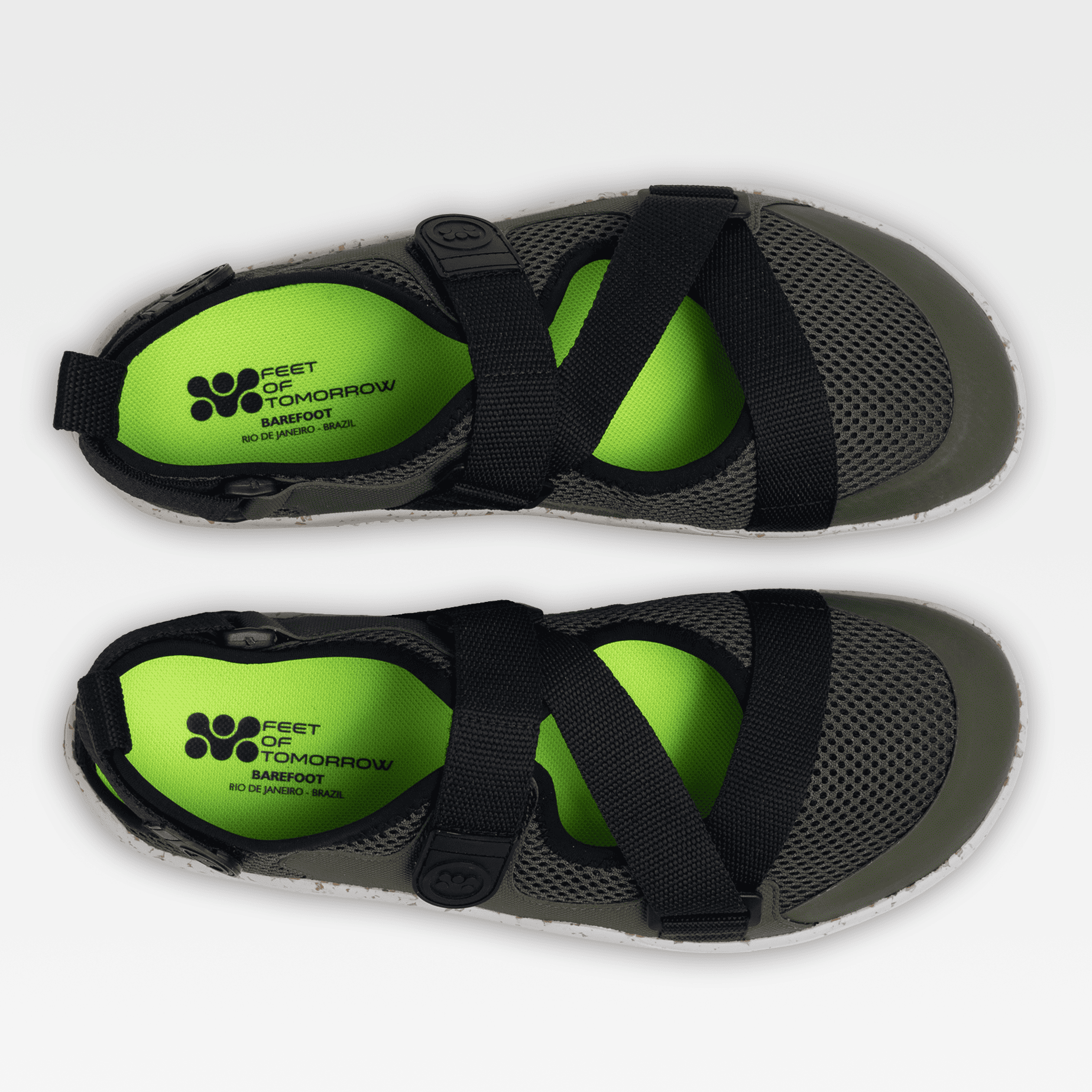 Kava Olive