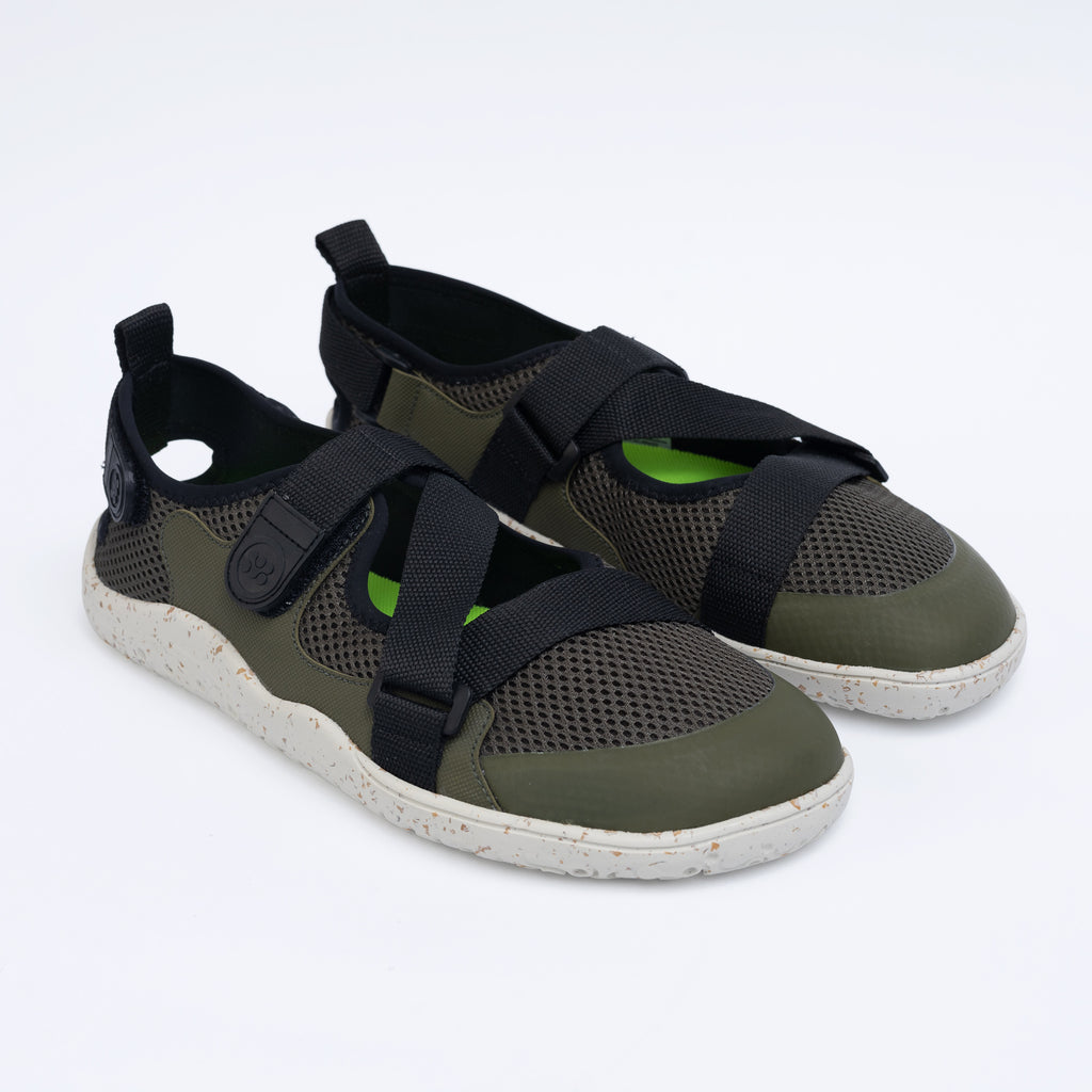 Kava Olive